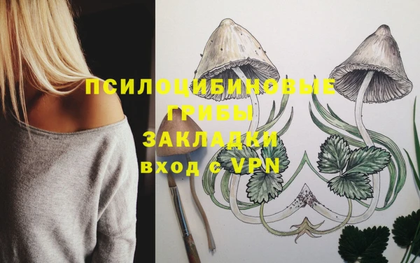 кокс Нягань