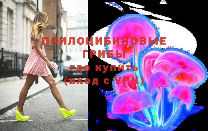 Галлюциногенные грибы Psilocybe  Анапа 