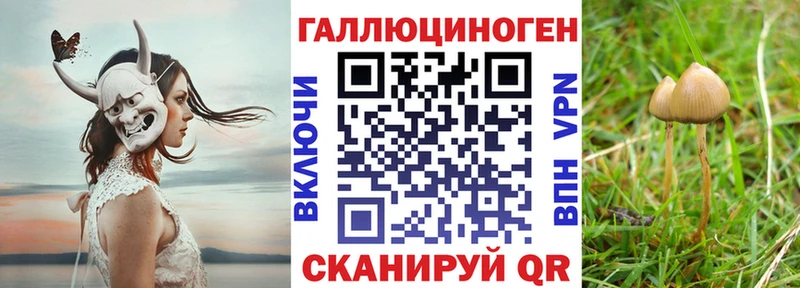 Псилоцибиновые грибы Magic Shrooms  Анапа 