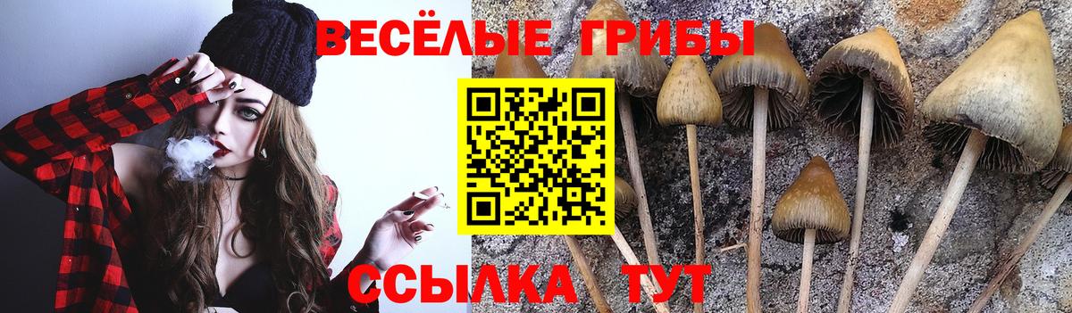 Псилоцибиновые грибы ЛСД  Вход с VPN  Анапа 