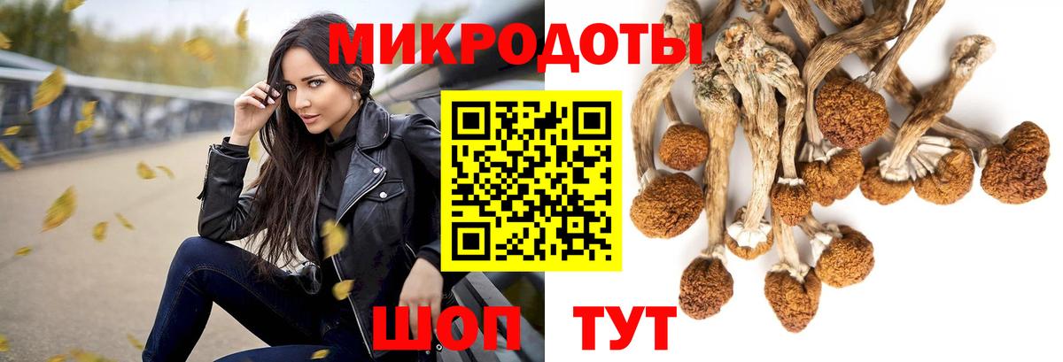 Галлюциногенные грибы Psilocybe Анапа