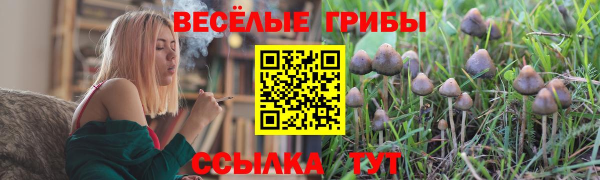 Галлюциногенные грибы MAGIC MUSHROOMS  Вход с VPN  Анапа  что такое   Галлюциногенные грибы мицелий 