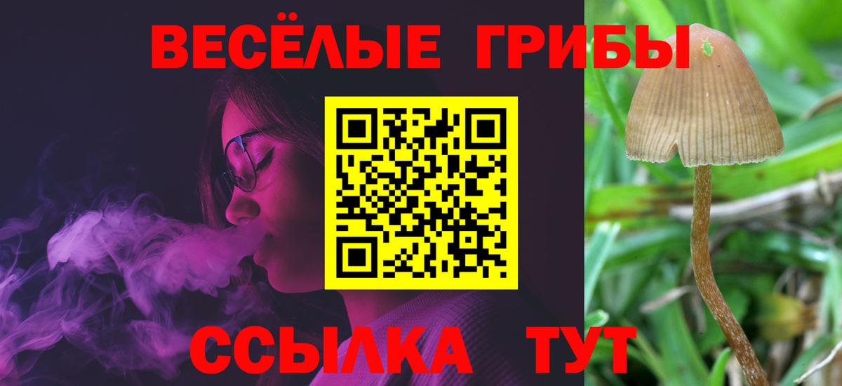 Галлюциногенные грибы прущие грибы Анапа